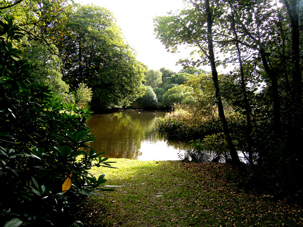 Scottish Autumn Loch