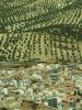 Algarinejo 1