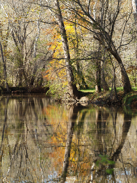 The Last Color, Great Falls, MD