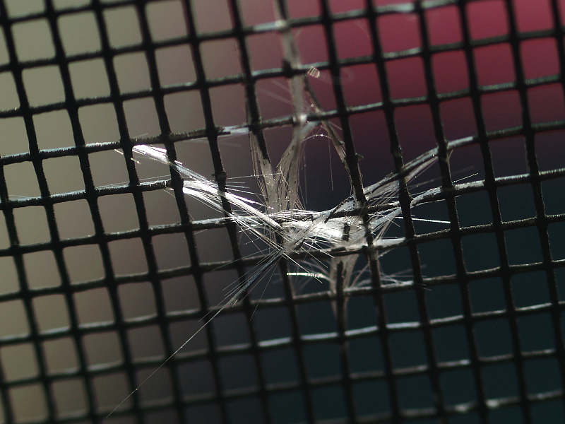 Spider Web