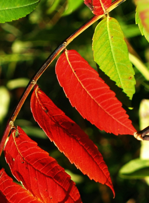 Autumn is around the corner