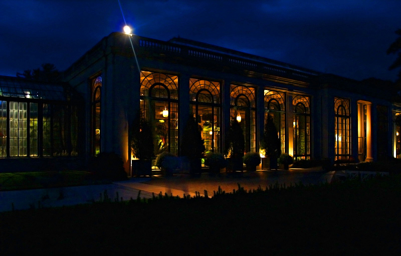 Night Shot