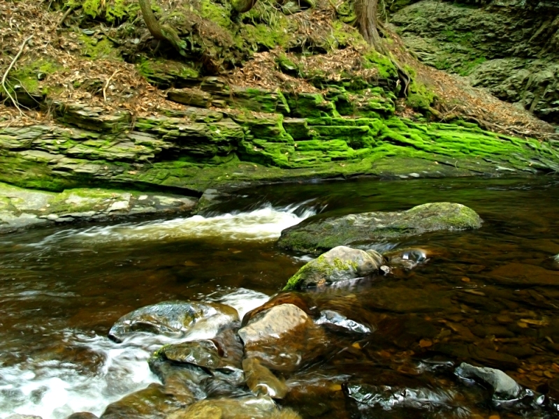 STREAM