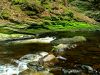 STREAM