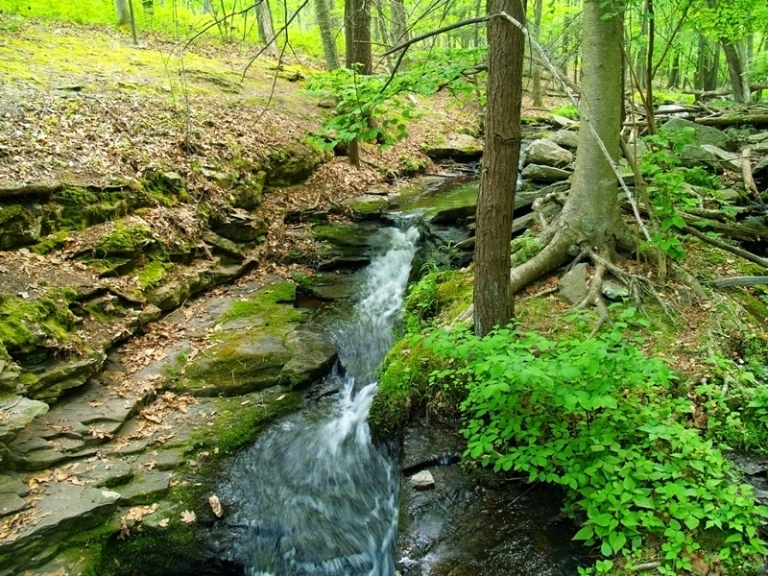 STREAM (2)