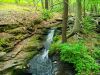 STREAM (2)