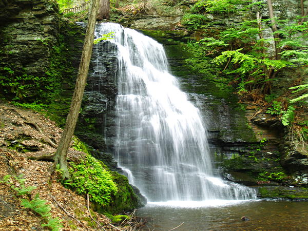 Bushkill Falls (2)