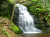 Bushkill Falls (2)