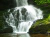 BushKill Fall by syed noman