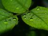 Droplets1