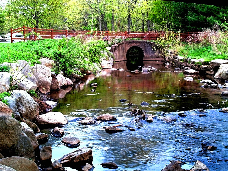 Water through the park