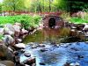 Water through the park by syed noman
