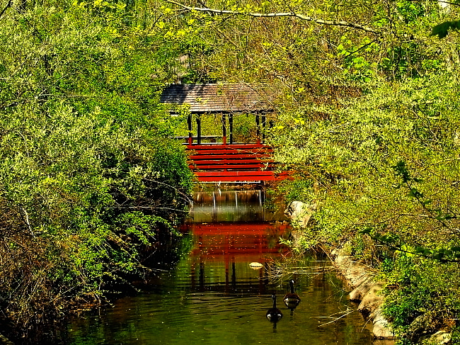 Red Bridge2