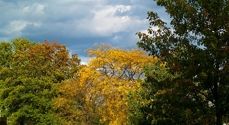 Shades of nature