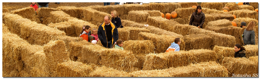 HALLOWEEN FUN