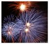 Montreal Firework II by Natasha SS