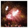 Montreal Firework III by Natasha SS