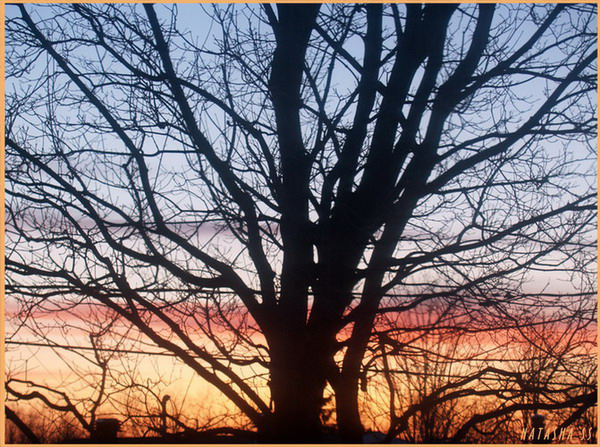 SUNRISE
