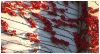 Fall-wall