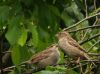 mother & baby (2) by kirsty bushell