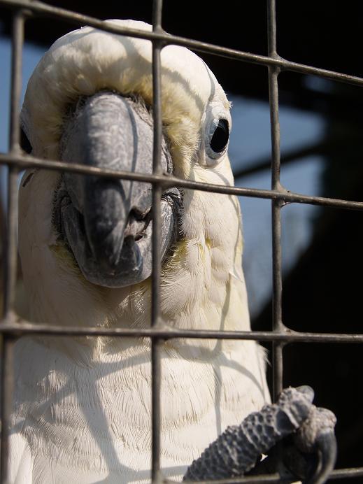 let me out