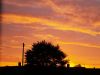 a new sunrise