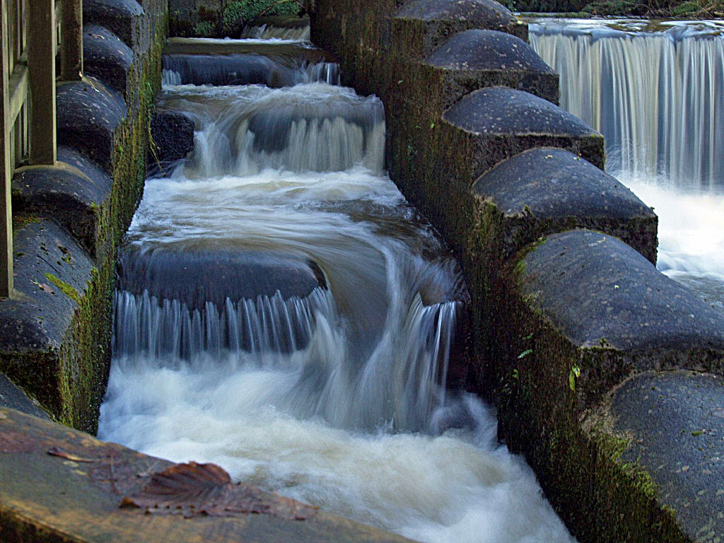 Salmon Ladder