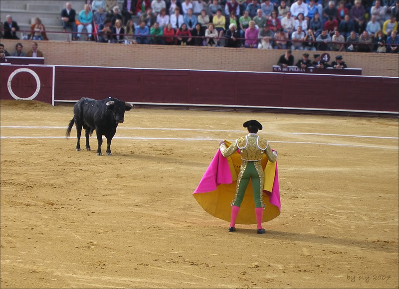 Corida