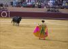 Corida