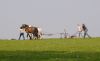 Horse Drawn Plough 2 by Mike Babson