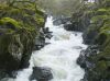 Water in a Hurry by Mike Babson