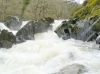 More water in a hurry by Mike Babson
