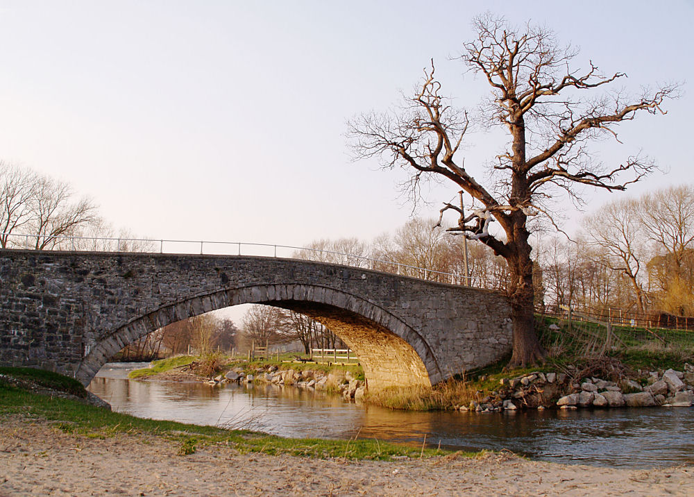 Guarding the Bridge
