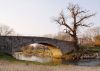 Guarding the Bridge by Mike Babson