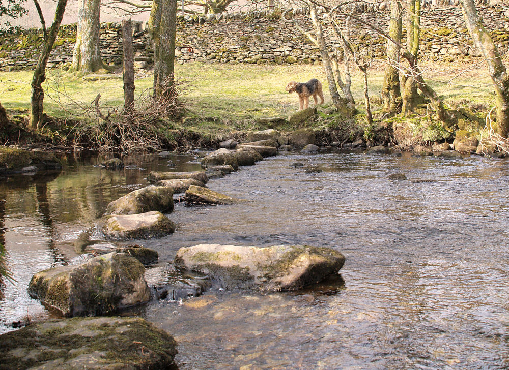 Stepping Stones on the Llugwy