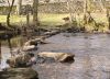 Stepping Stones on the Llugwy by Mike Babson