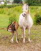Mum - Look what I have found by Mike Babson
