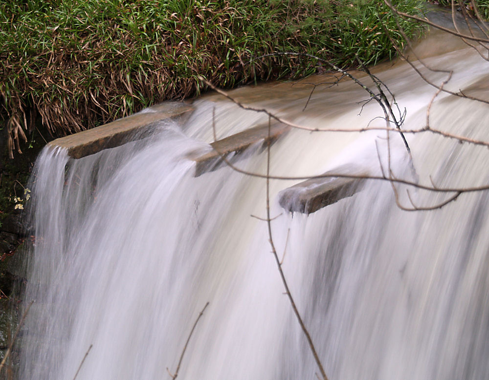 The Mill Race