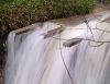 The Mill Race by Mike Babson