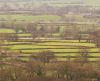 Fields by Mike Babson