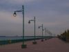 Lonely Light