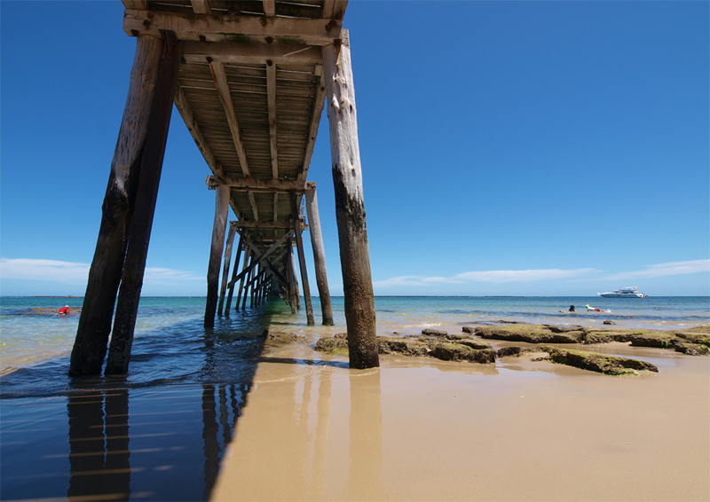 Summer, Pt Noarlunga