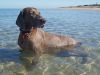 Cooling off