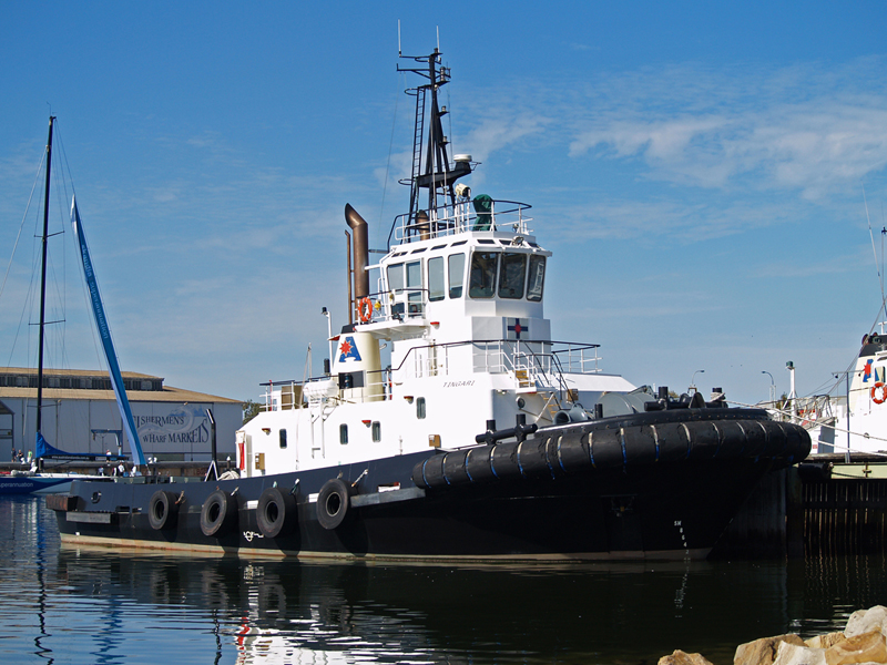 Tug at Pt Adelaide