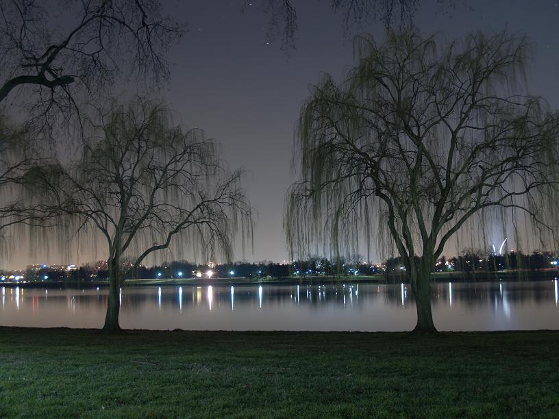 D.C. Trees