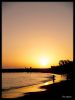 Golden glow by John Singleton