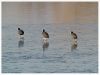 Are we there yet ? by Christopher Manison