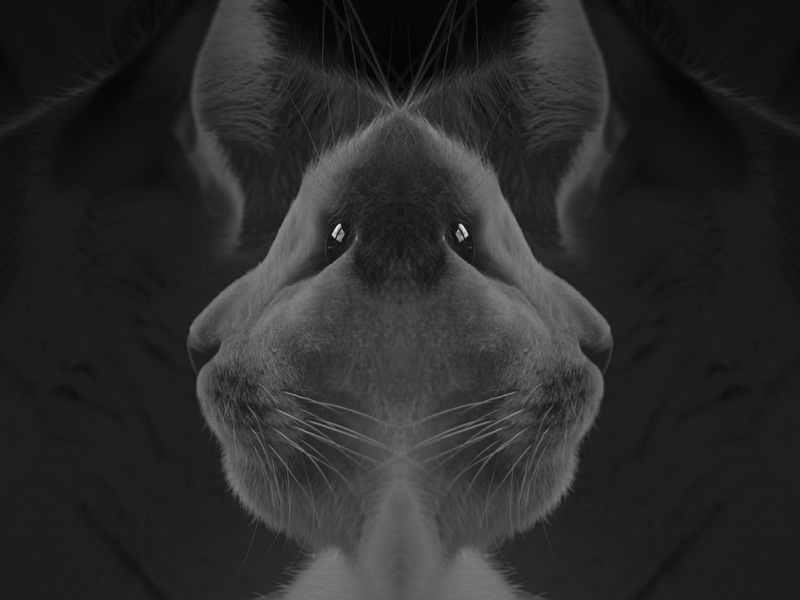 Split Personality