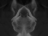 Split Personality by Karen Jack