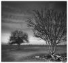 Dormant by DeeVee V